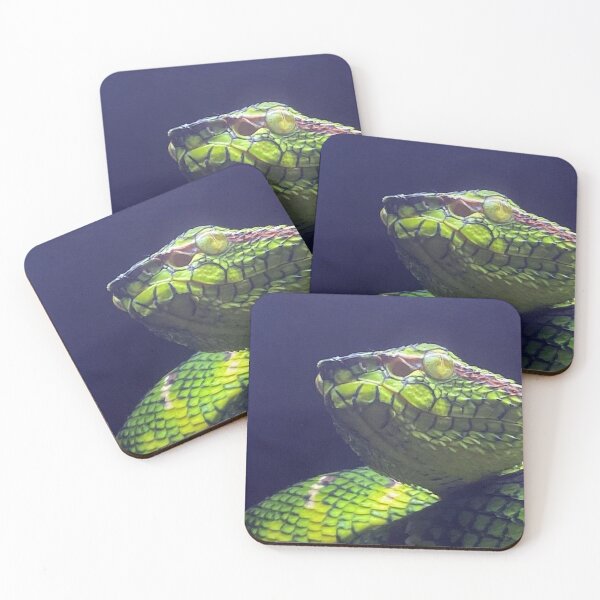 Item preview, WAGLER'S PIT VIPER 1 designed and sold by BOLLA67.