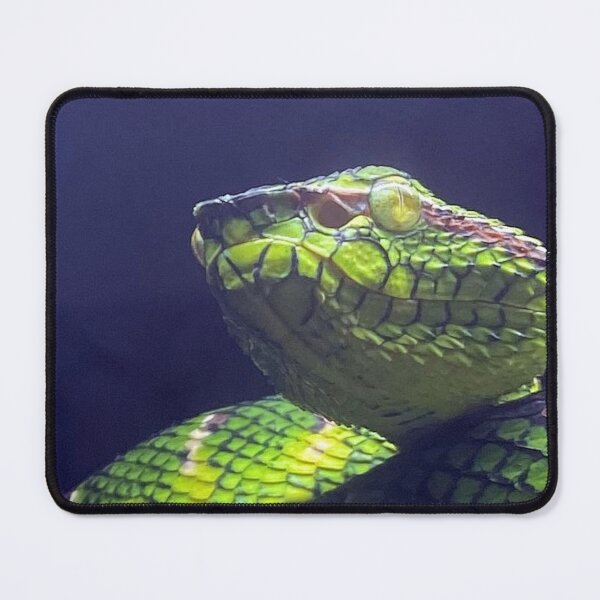 Item preview, WAGLER'S PIT VIPER 1 designed and sold by BOLLA67.