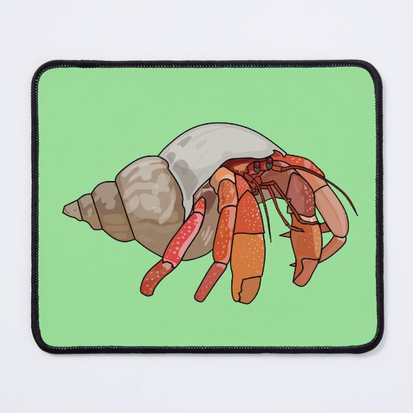 Item preview, Hermit crab cartoon illustration designed and sold by Misscartoon.
