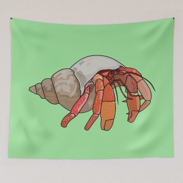 Item preview, Hermit crab cartoon illustration designed and sold by Misscartoon.