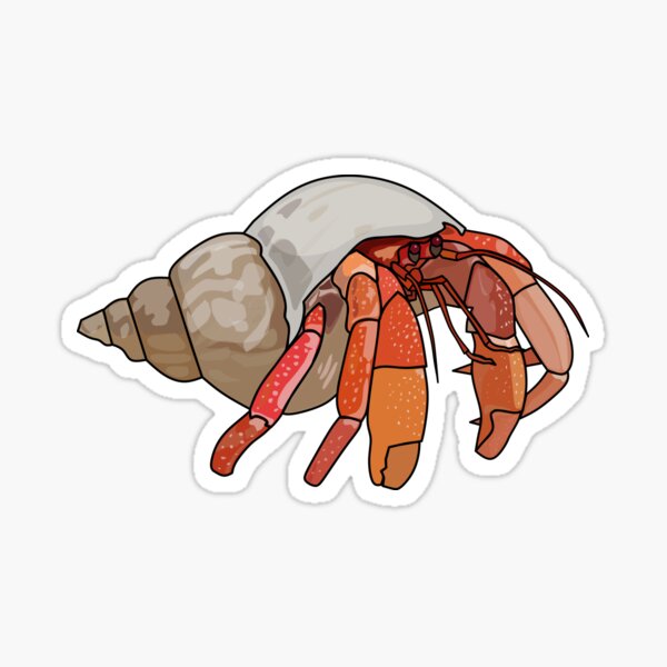 Item preview, Hermit crab cartoon illustration designed and sold by Misscartoon.