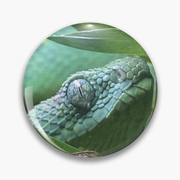 Item preview, 2603 BUSH VIPER 1 designed and sold by BOLLA67.