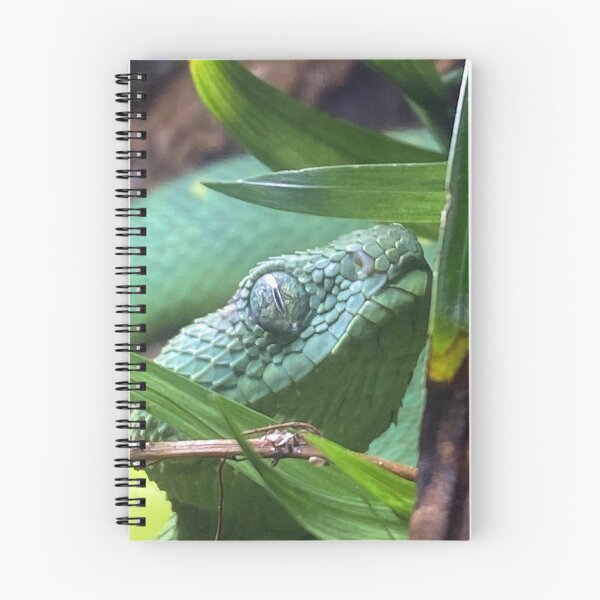 Item preview, 2603 BUSH VIPER 1 designed and sold by BOLLA67.