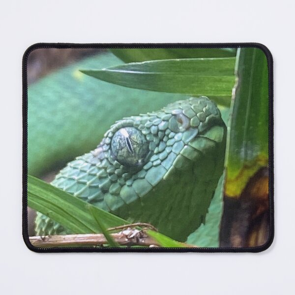 Item preview, 2603 BUSH VIPER 1 designed and sold by BOLLA67.