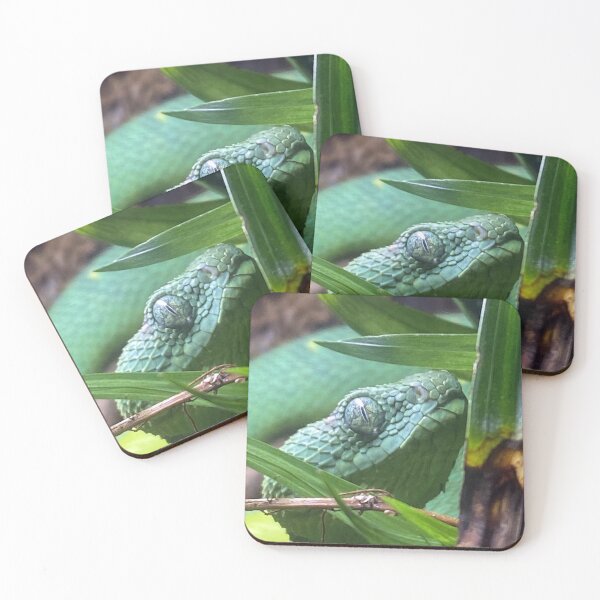 Item preview, 2603 BUSH VIPER 1 designed and sold by BOLLA67.