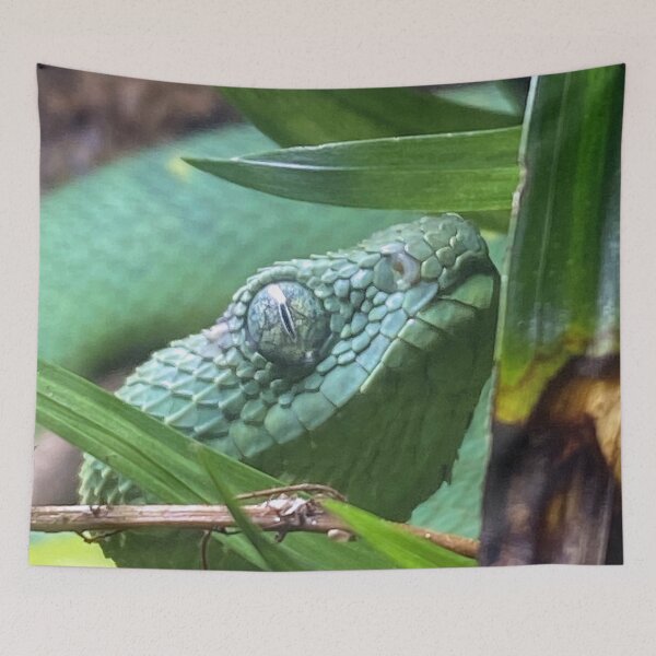 Item preview, 2603 BUSH VIPER 1 designed and sold by BOLLA67.