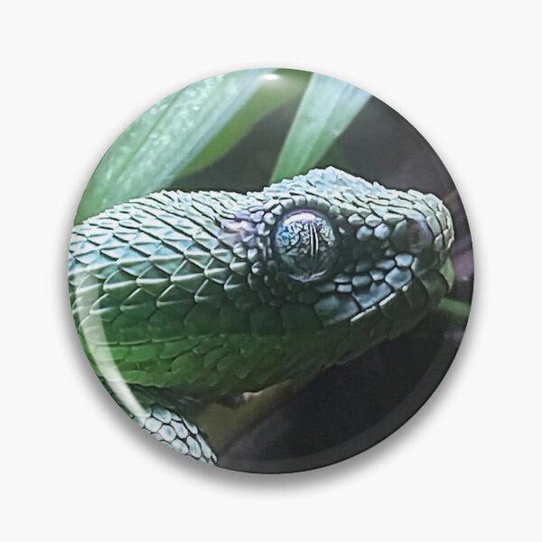 Item preview, 2600 BUSH VIPER 2 designed and sold by BOLLA67.