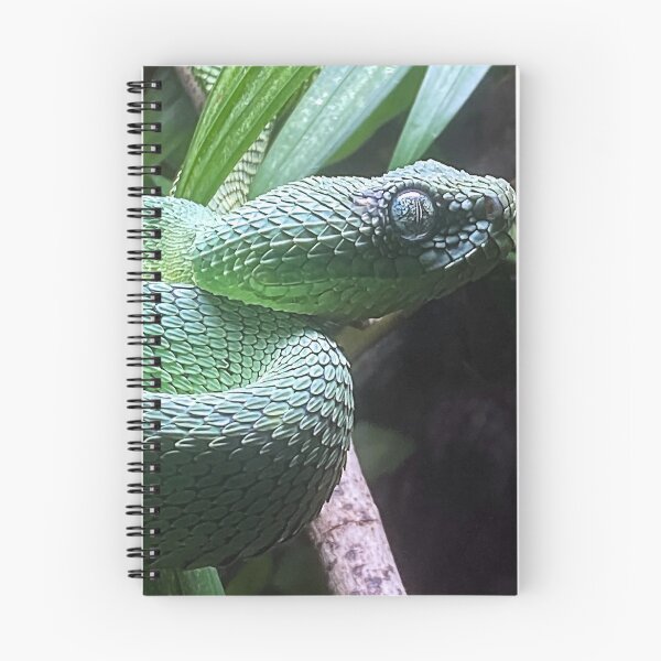 Item preview, 2600 BUSH VIPER 2 designed and sold by BOLLA67.