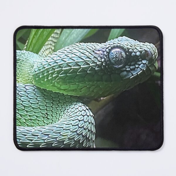 Item preview, 2600 BUSH VIPER 2 designed and sold by BOLLA67.
