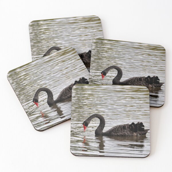 Item preview, New Zealand - Rotorua, black swans designed and sold by franck380.
