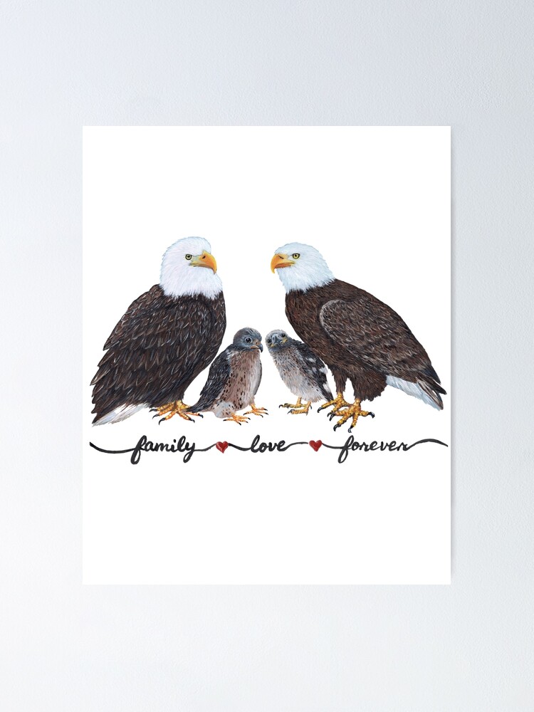 Póster «Arte de la familia del águila calva» de TiffanyRoy | Redbubble