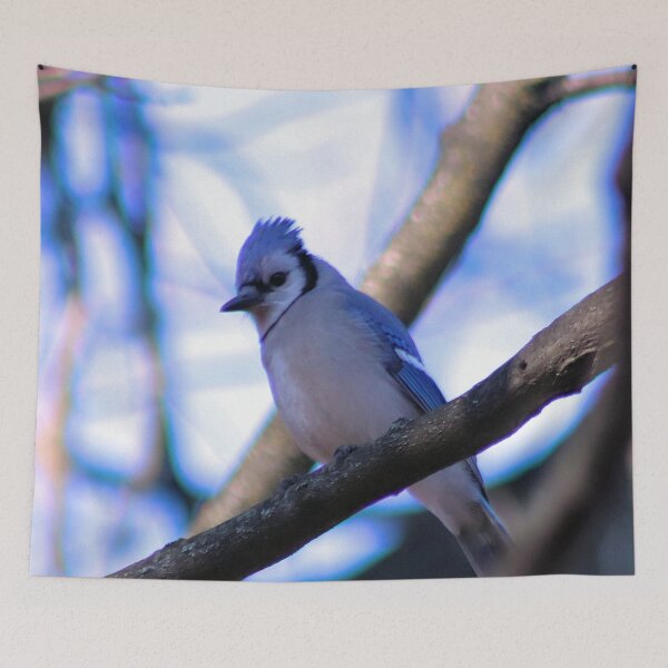 Item preview, 1875 BLUE JAY 2 designed and sold by BOLLA67.