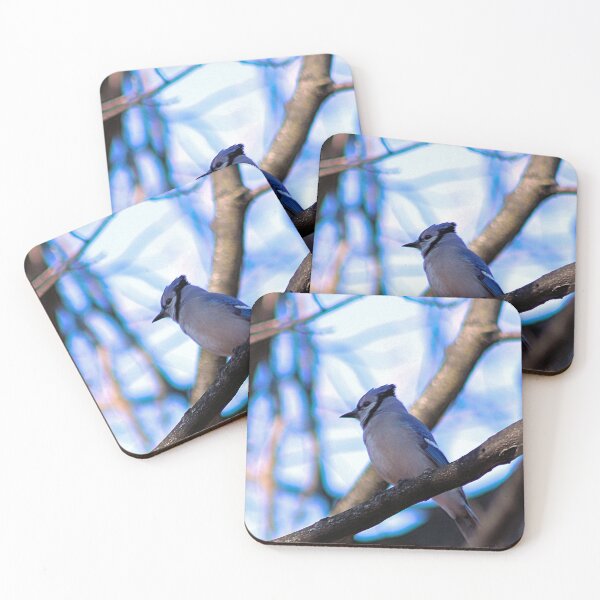 Item preview, 1873 BLUE JAY 1 designed and sold by BOLLA67.