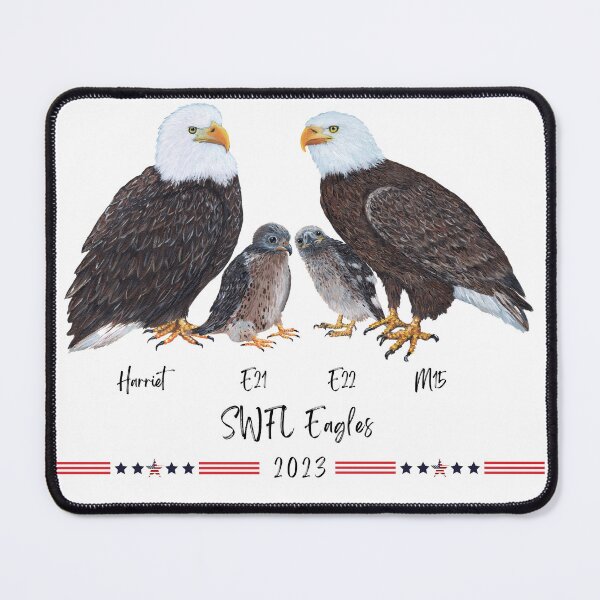 Item preview, SWFL Bald Eagle Family Art designed and sold by Roy & Tiffany.