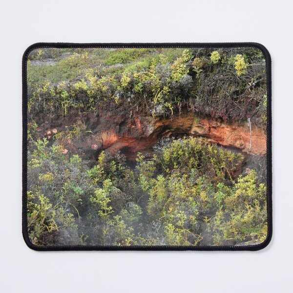 Item preview, New Zealand - Rotorua, Te Puia designed and sold by franck380.
