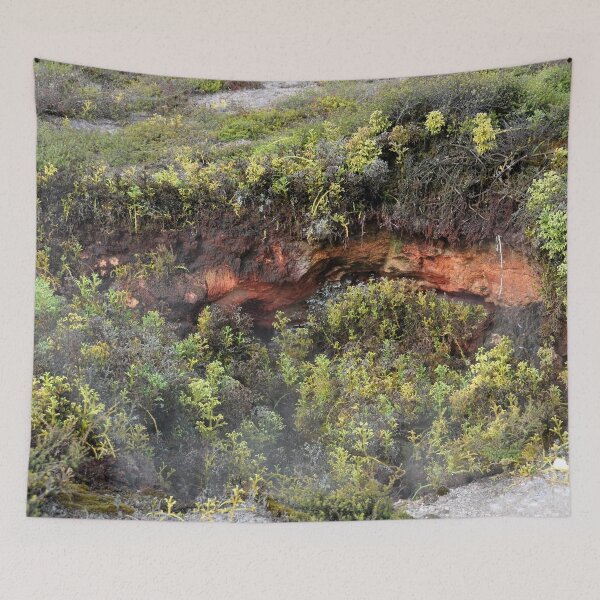 Item preview, New Zealand - Rotorua, Te Puia designed and sold by franck380.