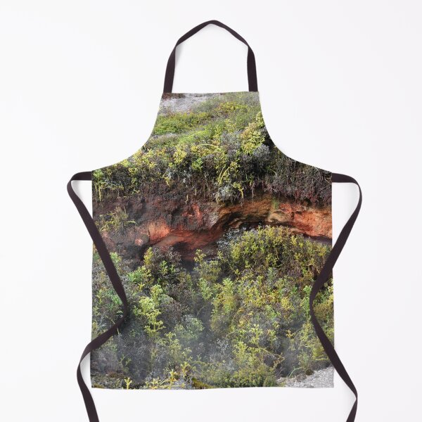 Item preview, New Zealand - Rotorua, Te Puia designed and sold by franck380.