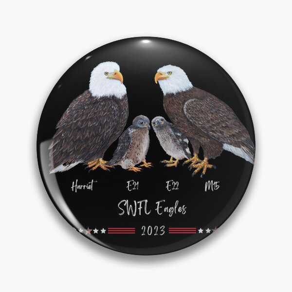 Item preview, SWFL Bald Eagle Family Art designed and sold by Roy & Tiffany.