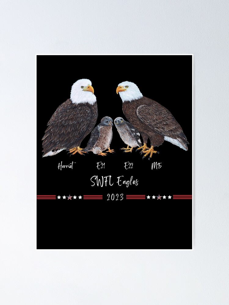 Póster «Arte de la familia del águila calva SWFL» de TiffanyRoy | Redbubble