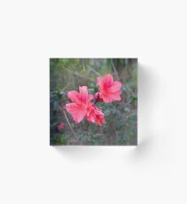 Sunken Garden Flower 2 Acrylic Block