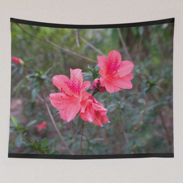 Item preview, Sunken Garden Flower 2 designed and sold by Jettymoon.