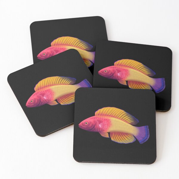 Item preview, rose-veiled fairy wrasse designed and sold by Scuba-Div3r.
