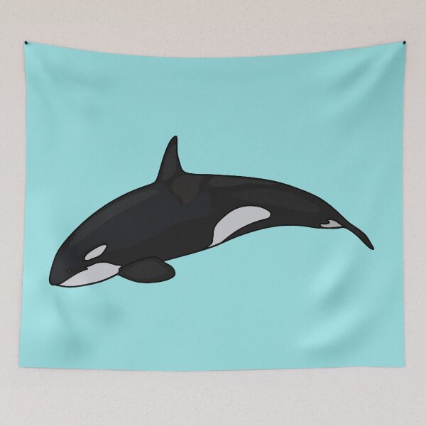Item preview, Killer whale cartoon illustration designed and sold by Misscartoon.