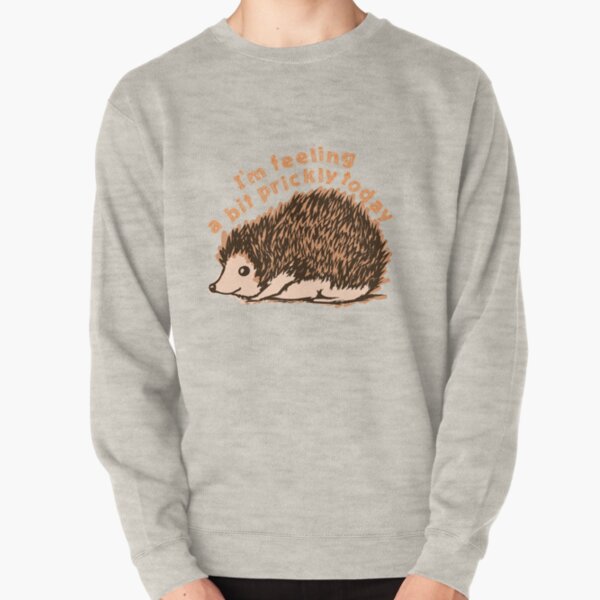 hedgehog in a sweater