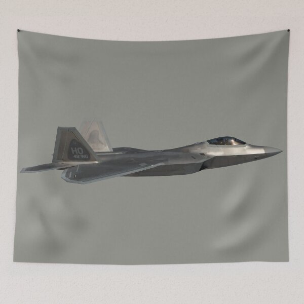 Artikelvorschau, F-22 Raptor - HO 49. WG entworfen und verkauft von boltjesdesign.