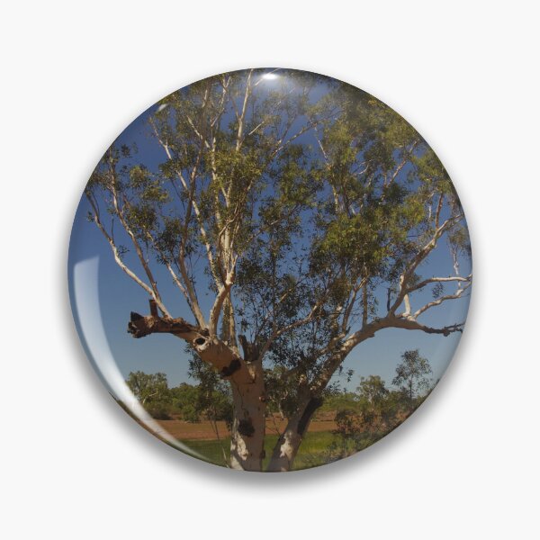 Item preview, Outback White Gum tree on some dirt track near Pannawonica, Western Australia designed and sold by NimbleFish.