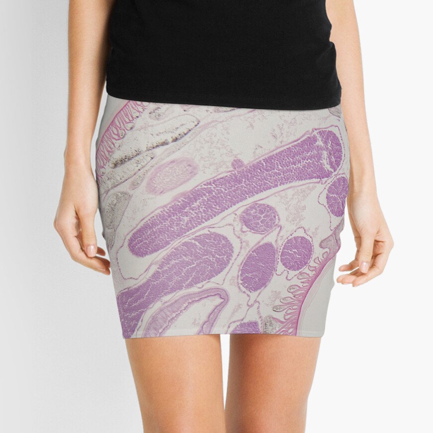 Parasitic nematode worm (Ascaris sp.) under the microscope Mini Skirt