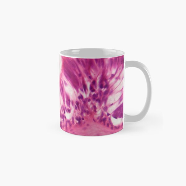 Ciliated epithelium under the microscope. Classic Mug