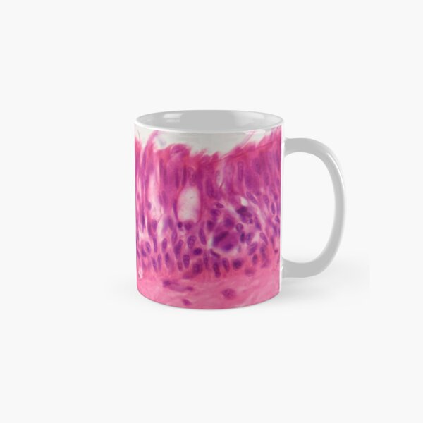 Ciliated epithelium under the microscope. Classic Mug