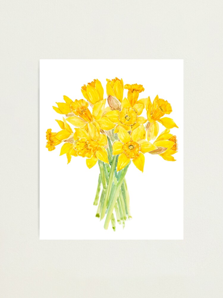 yellow daffodils bouquet watercolor 