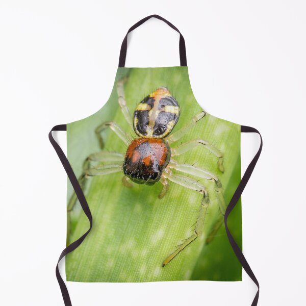 Item preview, A Flat Abdomen Crab Spider (Camaricus maugei) designed and sold by AvonPerception.