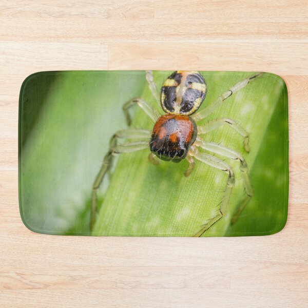 Item preview, A Flat Abdomen Crab Spider (Camaricus maugei) designed and sold by AvonPerception.