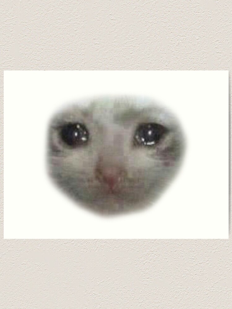 Alternate view of crying teary eyed sad cat meme Art Print