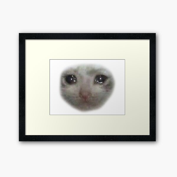 Crying Teary Eyed Sad Cat Meme Framed Art Print For Sale By