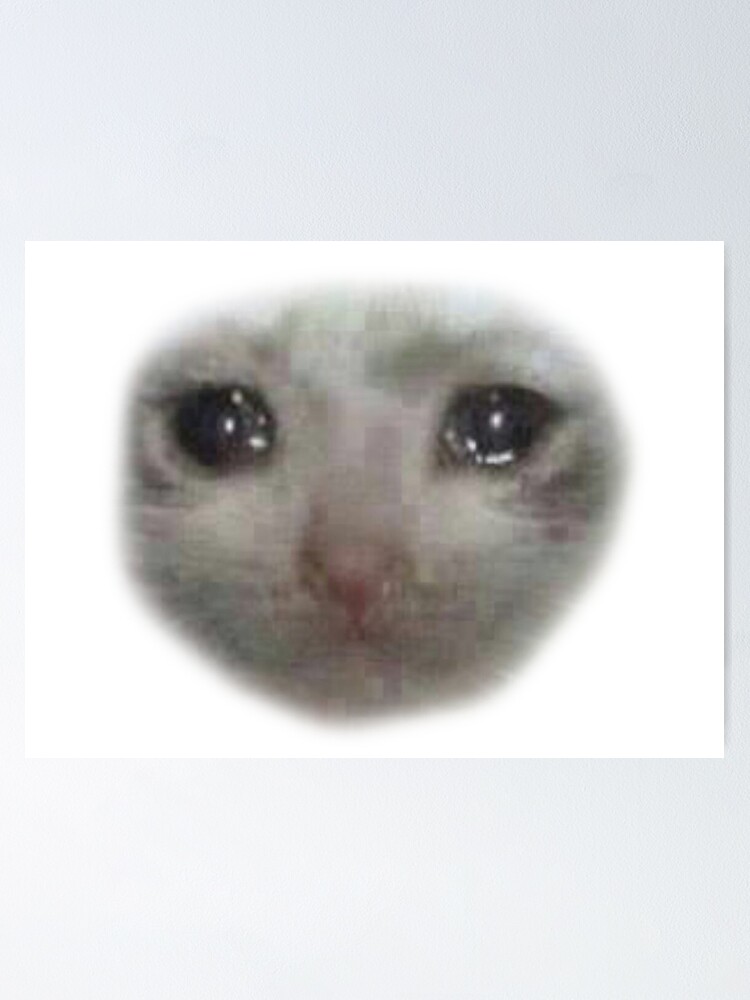 Gato Triste Meme Png