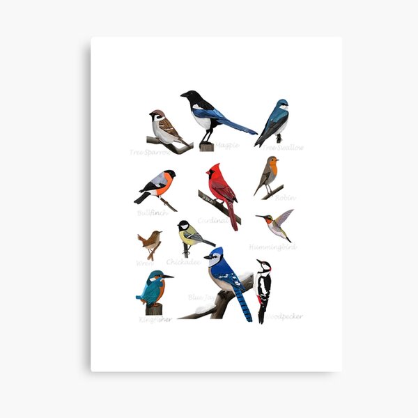 Cardinal Poster Canvas Blue Jay Bird Those We Love Don't Go Away They Fly  Beside Us Every Day Horizontal Poster Canvas Home Decor No Frame or 0.7