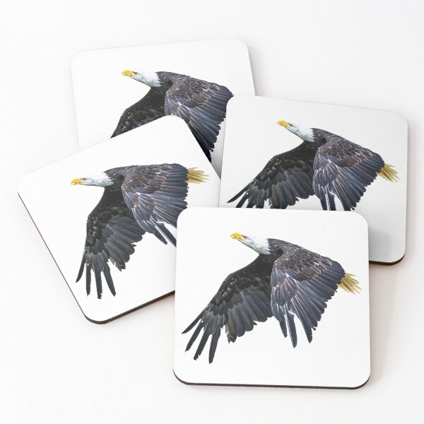 Item preview, Eagle in flight designed and sold by Judith Hayes.