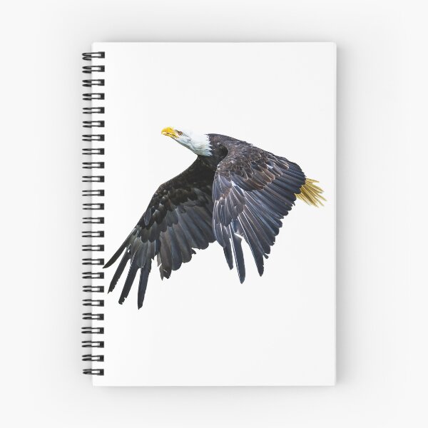 Item preview, Eagle in flight designed and sold by Judith Hayes.