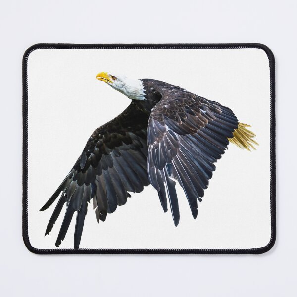 Item preview, Eagle in flight designed and sold by Judith Hayes.