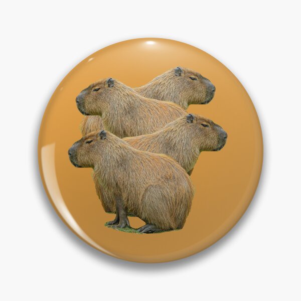 Item preview, Capy Stack designed and sold by Dalyndigital Photography.