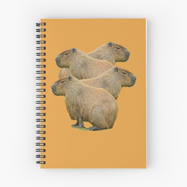 Item preview, Capy Stack designed and sold by Dalyndigital Photography.