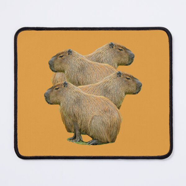 Item preview, Capy Stack designed and sold by Dalyndigital Photography.