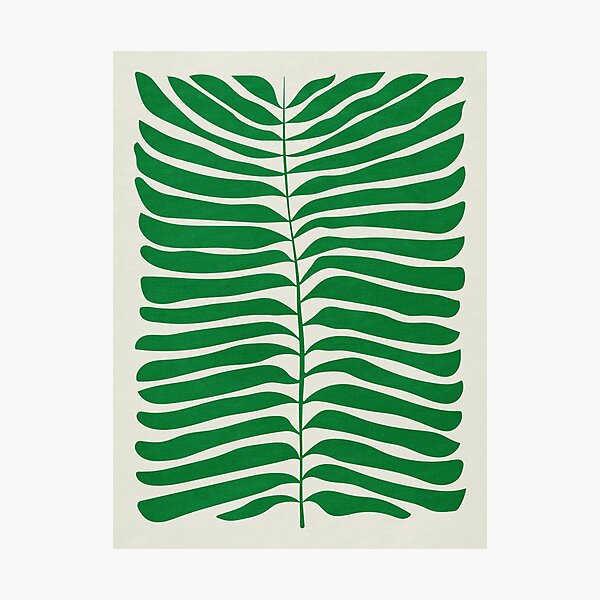 Item preview, JAZZ FERNS 03 | Rain Forest Matisse Edition  designed and sold by karanwashere.