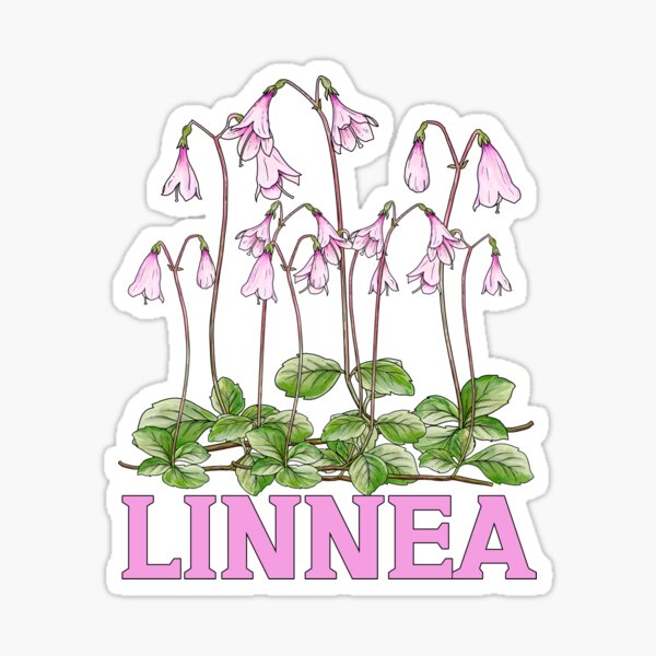 Item preview, Nordic Wildflower Linnea Twinflower Pretty Pink Flowers floral designed and sold by funnytshirtemp.