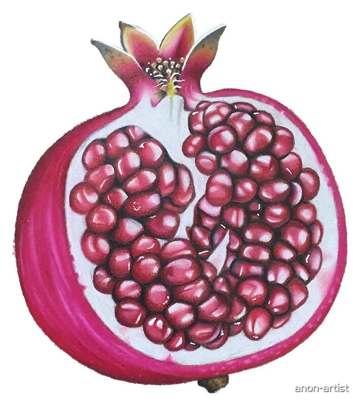 Creative Pomegranate Colour Sketches For Advanced Drawing with Pencil