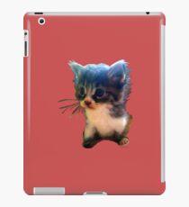 Big-eyed Mulder Kitten in Jerusalem iPad Case/Skin